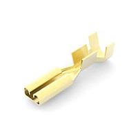 AMP Connectors - TE Connectivity 170042-1 Receptacle .110 FASTIN-FASTON RECPT L.P.