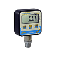AEP Transducers DFP Digital Pressure Gauge (20 bar)