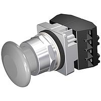 SIEMENS 52PM9W6G Pushbutton PUSHBUTTON,MOM,GRY,1 3/4" PLST,2POS,2NC