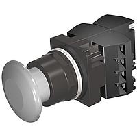 SIEMENS 52BM9W6C Pushbutton PUSHBUTTON,MOM,GRY,1 3/4" PLST,2POS,3BJK