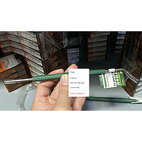 Niigata Seiki KS Scriber