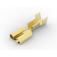 AMP Connectors - TE Connectivity 2-160256-1 Tab RECPT 6.35 x 0.81 mm