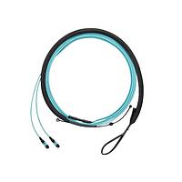 Panduit FWTYL7575LAM063 Fiber Optic Cable Assemblies OM5 Sig Core 12f Trunk LSZH PanMPO F/Pan