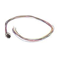 Amphenol CONEC 43-01331 M12 Female Socket SAL-12-FK12-0.5