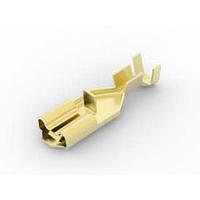 AMP Connectors - TE Connectivity 63097-2 Terminals .25 POS LK REC 18-14