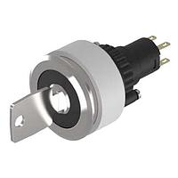 EAO 14-237.025K EAO Keylock switch 2 positions main SA 3NC+3NO ST D29 gold/silver A 1001