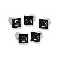 Carling Technologies CTB-B-B-10-B Thermal CTBBB10B