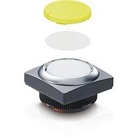 RAFI 1.30270.9712200 Standard Switches