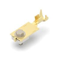 AMP Connectors - TE Connectivity 520936-1 Ring PWR RING ASY 0295 BR