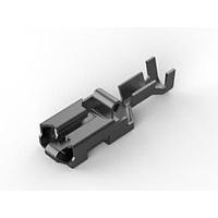 AMP Connectors - TE Connectivity 160759-3 Receptacle RCPT 20-16 AWG .250 Reel of 1500