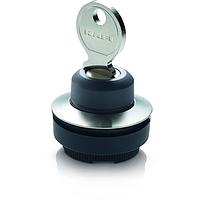 RAFI 1.30.295.002/0000 Keylock RAFIX 30 FS Keylock switch 40