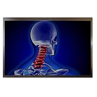 TFT Displays & Accessories