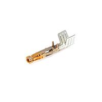 Molex 172063-0312 (Loose Piece) - Mega-Fit F/M Crimp 12 AWG Loose PC