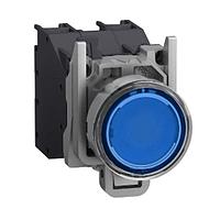 SCHNEIDER XB4BP683BM5GEX Flush HAZ LOC PUSHBUTTON SWITCH, 24- 240 Vac/dc, CONTACTS 2 N.O., Blue, -40 +70 , IP66