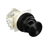 SCHNEIDER 9001SKR24BH13 Switch Hardware PSH BTTN 600VAC 10A 30MM SK