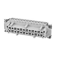 Amphenol Tuchel C146 10B024 400 1 Inserts Female insert 24pole