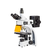 Euromex IS.3153-PLFi/3 iScope trinocular microscope (EWF 10x/22 mm, 4/10/S40/S100x)
