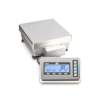 KERN FES 62K-4D Precision Balance (6.2 / 62 kg; 0.1 / 1 g)
