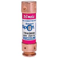 Mersen TR40RID Time Delay Fuse 250V 40A TD RK5 FUSE SMARTSPOT