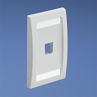 Panduit CFPE1IGY Wire Ducting & Raceways Faceplate 1 Port Single Gang Executiv