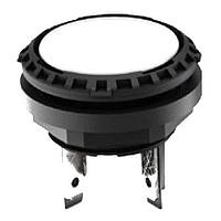 RAFI 1.15.210.920/0000 Sealed LUMOTAST 16 Ill. Momentary Pushbutton