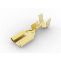 AMP Connectors - TE Connectivity 42692-1 Receptacle 18-14 AWG .250 RCPT