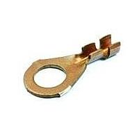 Aptiv 02977481 Accessories TERM RING STR CBL RGE .80-.50