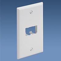 Panduit CFP2IW Wire Ducting & Raceways Faceplate 2 Port Classic Off White
