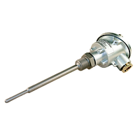 Senseca 8101/A-1-2L-9/6-160-0-G1/2A-BK-500 °C Temperature Sensor (500°C, 160mm)