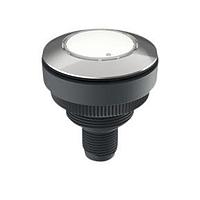 RAFI 1.11.071.201/0220 Pushbutton Switches RAMO 30 I  Flexlab