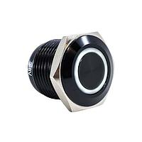 E-Switch PV6F24011G-301 Anti-Vandal ANTI-VANDAL, 2A 48VDC, SPST Off-(On), Panel Mount, Front Solder