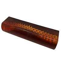 True Phantom Solutions SE-A01 Adult Spine For X-Ray CT, US, MRI