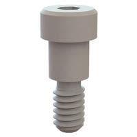 Essentra Components 31031031 Shoulder Screw Shoulder Screw, Hex Socket, 1/4-20 Thread