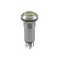 OTTO LP5-V31H313 Anti-Vandal Stnls 12V Green LED Low profile Flat