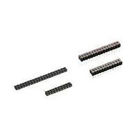 Preci-Dip 831-83-024-10-230101 Socket