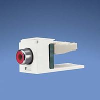 Panduit CJRRBL RCA Phono Connectors Mini-Com RCA Punchdn Module Black wit