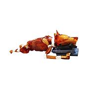 True Phantom Solutions DG-A02 Dog Phantom For X-Ray CT, MRI