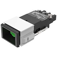 EAO 02-198.011 Switch Actuators Keylock switch 2 positions A actuated or non-actuated SA 2DC screw 24x36 silver YB1