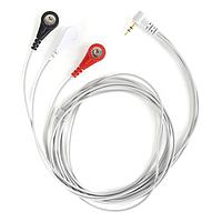 Audio / Video / RCA Cables