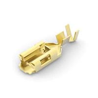 AMP Connectors - TE Connectivity 170454-1 Receptacle 250POSITIVE LOCK REC