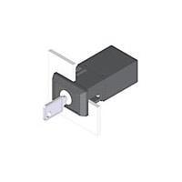 EAO 22-331.511D Keylock Switches SW-LVR BLK MNT QC