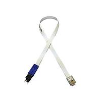 Ethernet / Networking Cables