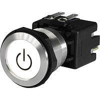 Schurter 1241.7221.1120000 Standard Switches IK07 Shock ST SF12A @250VAC 2P 00 000 0