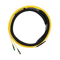 Panduit F9TYP5EL2SAF100 Fiber Optic Cable Assemblies OS2 12f Trunk OFNP MPO F/LC Dup Std Pola