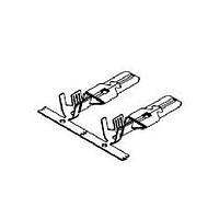 Aptiv 15503438 Terminals ASM TERM 9.5MM AG MALE