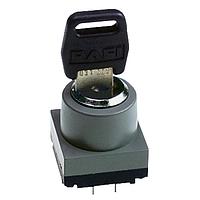 RAFI 3.13.026.601/0000 Keylock Switches MICROMEC Keylock switch IP54 2x90