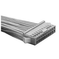 Hirose Electric DF1B-24DES-2.5RC Socket 2.5MM DOUBLE ROW 24P INLINE SOCKET