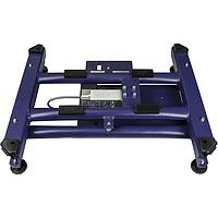 Mettler Toledo 30138425 BC Scale BCA-222-150U-119E-110