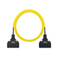 Panduit F9TSPXNXNSNF045 Fiber Optic Cable Assemblies OS2 12f Trunk OFNP LC Cass/LC Cass Std P