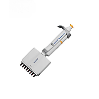Eppendorf Research plus Micropipet (30-300ul, 8CH)